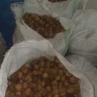 گردو دست چین|خوردنی و آشامیدنی|دره رود, |دیوار