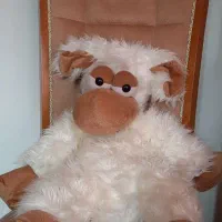 اسباب بازی|اسباببازی|رشت, گلسار|دیوار