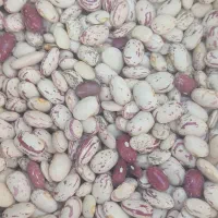 حبوبات لوبیا چیتی عدس ونخود برنج چای باقیمت مناسب|خوردنی و آشامیدنی|اهواز, نادری|دیوار