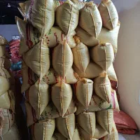 سر لاشه هاشمی کشاورزی اعلا|عمدهفروشی|تالش, جوکندان|دیوار