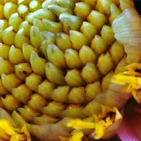 گوشی شیائومی ردمی نوت ۱۰ پرو|موبایل|شهریار, شهرک اداری تندگویان|دیوار