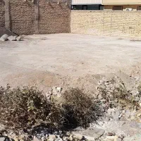 زمین فروشی بلوار جهاد|فروش زمین و ملک کلنگی|بردسیر, |دیوار