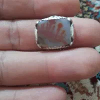 کلکانه شجر پاییزه