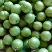 آلوچه سبز ترش و سفت|خوردنی و آشامیدنی|شاهین دژ, |دیوار