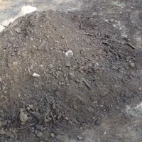 خاک باغچه ترکیبی طبیعی|خدمات باغبانی و درختکاری|رشت, پل تالشان|دیوار