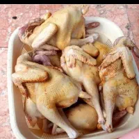 اردک .غاز .بوقلمون. مرغ و خروس .بلدرچین|حیوانات مزرعه|رشت, فلسطین|دیوار