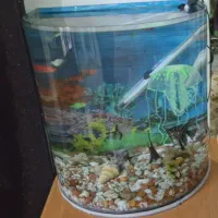 اکواریوم شیشه خم