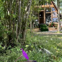 اجاره روزانه|اجارهٔ کوتاه‌مدت ویلا و باغ|شاندرمن, |دیوار