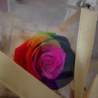 اکازیون خط رند دست اول فوری