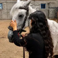 آموزش تخصصی سوارکاری