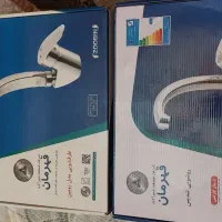 دو عدد شیر قهرمان نو