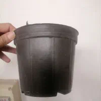گلدان پلاستیکی
