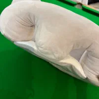 مبل صندلی کمک اموزش کودک|تخت و صندلی بچه|بندر انزلی, موج شکن|دیوار