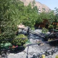 اشپز ایرانی حرفه ای