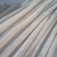 فروش تیرصغفی