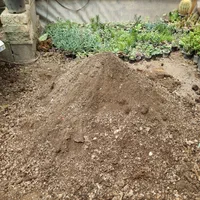 خاک برگ گلدان باغچه کوکوپیت زه کش و کود تنگ شیشه|گل و گیاه طبیعی|مشهد, کوثر|دیوار