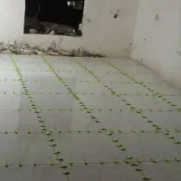 کاشی کاری و موزایک کاری تعمیرات بازسازی و چسبی|خدمات پیشه و مهارت|شاهرود, |دیوار