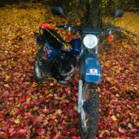 اکسل مدارک کامل پلاک ملی