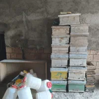 کندو خالی،طبق،دبه،جاخوراکی|لوازم جانبی حیوانات|رامیان, |دیوار