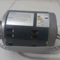 متورالکتروژن