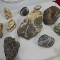 سنگ اکواریوم طبیعی