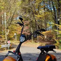 اسکوتر برقی آلمانی