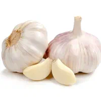 سیر خشک ونایی
