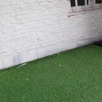 نیازمند به یه خدمه