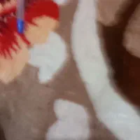 سرزیخ پذیرفته میشه