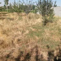 قطعه زمینی به مساحت تقریبی 20000