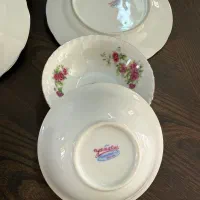 سرویس غذاخوری گل سرخ