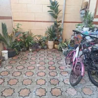 خانه ای ویلای در آسایش هفت|اجارهٔ خانه و ویلا|رشت, معلولین|دیوار