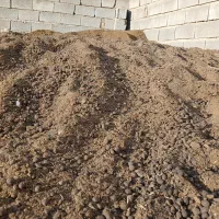 فروش کود تمیز گوسفندی