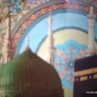 انواع فیش