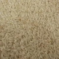 برنج چمپا چهارمحال سرخون هلیساد بشرط مرجوعی