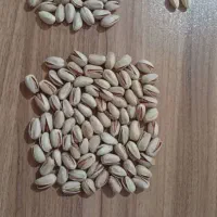 پسته اکبری اونس 24  دو هزار کیلو