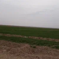 دوعدد زمین کشاورزی درمناطق رودباروبلوک اجاره وفروش