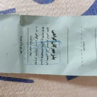 بذر گندم مهرگان|عمدهفروشی|برازجان, |دیوار