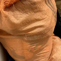 تیشرت های خراجی به صورت عدلی
