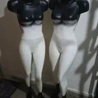 مانکن - رگال - تیله ای  - ریل لامپ