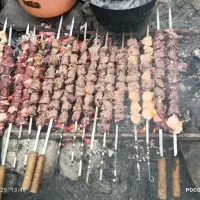 آشپزمجالس کباب زن ماهر