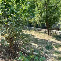 زمین ۴۰۰ متری در خوانسار|فروش زمین و ملک کلنگی|اصفهان, خواجو|دیوار