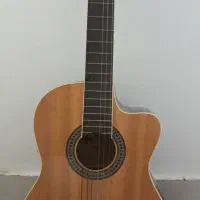 گیتار پیکاپ دار ایلین