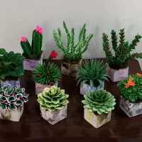 کاکتوسهای مصنوعی ساخته شده با خمیر|گل مصنوعی|تهران, قلهک|دیوار