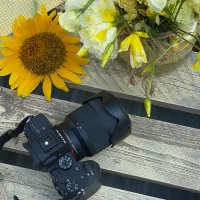 عکاسی و فیلمبرداری مراسم عقد بله برون‌ تولد