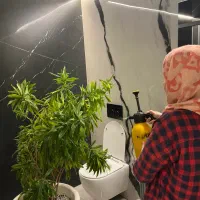 اصلاح فرم و بنسای گیاه به صورت تخصصی