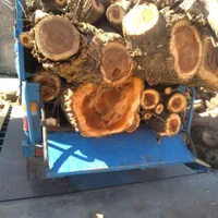 خرید درخت وچوب