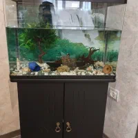 آکواریوم با میز|ماهی|فولادشهر, مسکن مهر فولادشهر|دیوار