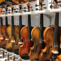 انواع ویولن (ویولن شاپ)