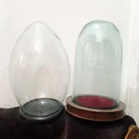 باکس شیشه ای دوتا سالم